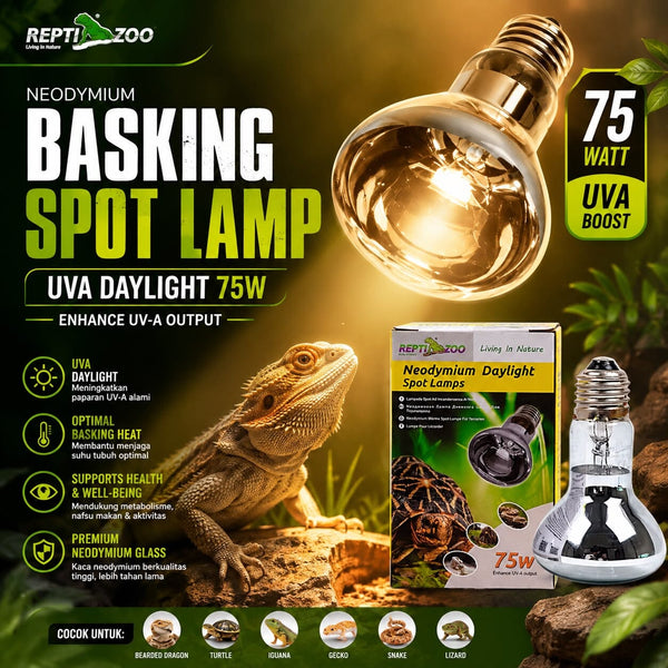 REPTILZOO Lampu Reptil UVA Neodymium Basking 75W no type Tidak ada merek 