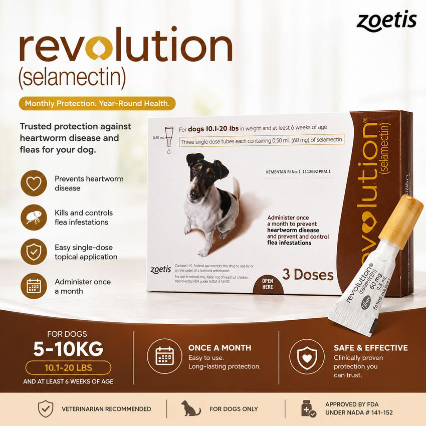 REVOLUTION Obat Kutu Anjing BROWN 0,50ml 1pcs no type Tidak ada merek 