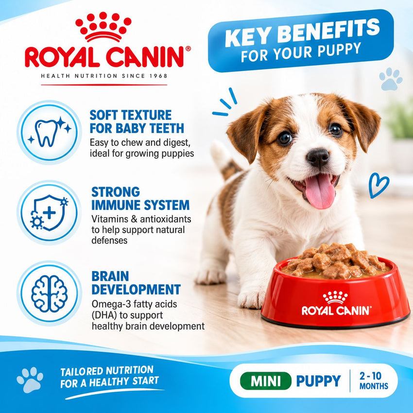 ROYALCANIN Makanan Anakan Anjing Mini Puppy Pouch 85gr no type Tidak ada merek 