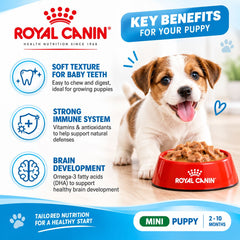 ROYALCANIN Makanan Anakan Anjing Mini Puppy Pouch 85gr no type Tidak ada merek 
