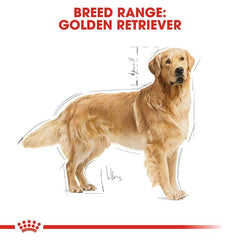 ROYALCANIN Makanan Anjing Golden Retriever Adult 12kg Dog Food Dry Royal Canin 