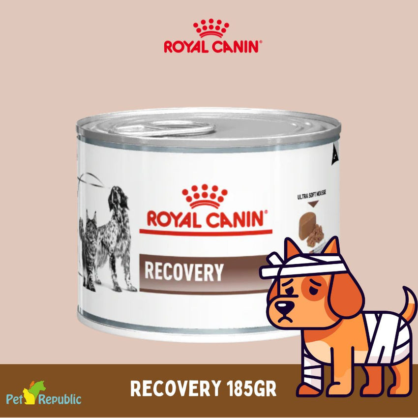 ROYALCANIN Makanan Anjing Khusus RECOVERY Wet Food 185g no type Tidak ada merek 