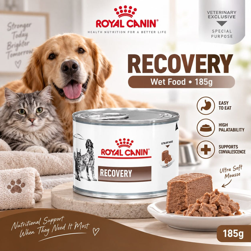 ROYALCANIN Makanan Anjing Khusus RECOVERY Wet Food 185g no type Tidak ada merek 
