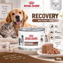 ROYALCANIN Makanan Anjing Khusus RECOVERY Wet Food 185g no type Tidak ada merek 