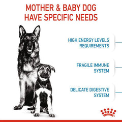 ROYALCANIN Makanan Anjing Mother Baby Dog Starter Maxi 4kg no type Tidak ada merek 
