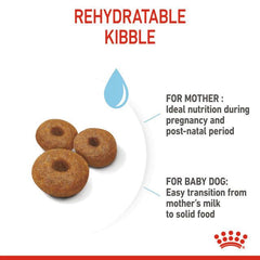 ROYALCANIN Makanan Anjing Mother Baby Dog Starter Maxi 4kg no type Tidak ada merek 