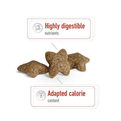 ROYALCANIN Makanan Anjing Senior Mini Adult 8+ 2kg no type Tidak ada merek 