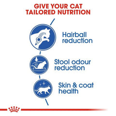 ROYALCANIN Makanan Kucing Feline Indoor LONG Hair 400gr no type Tidak ada merek 