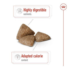 ROYALCANIN Mini Anjing Mini Indoor Adult 1,5kg no type Tidak ada merek 