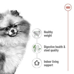 ROYALCANIN Mini Anjing Mini Indoor Adult 1,5kg no type Tidak ada merek 