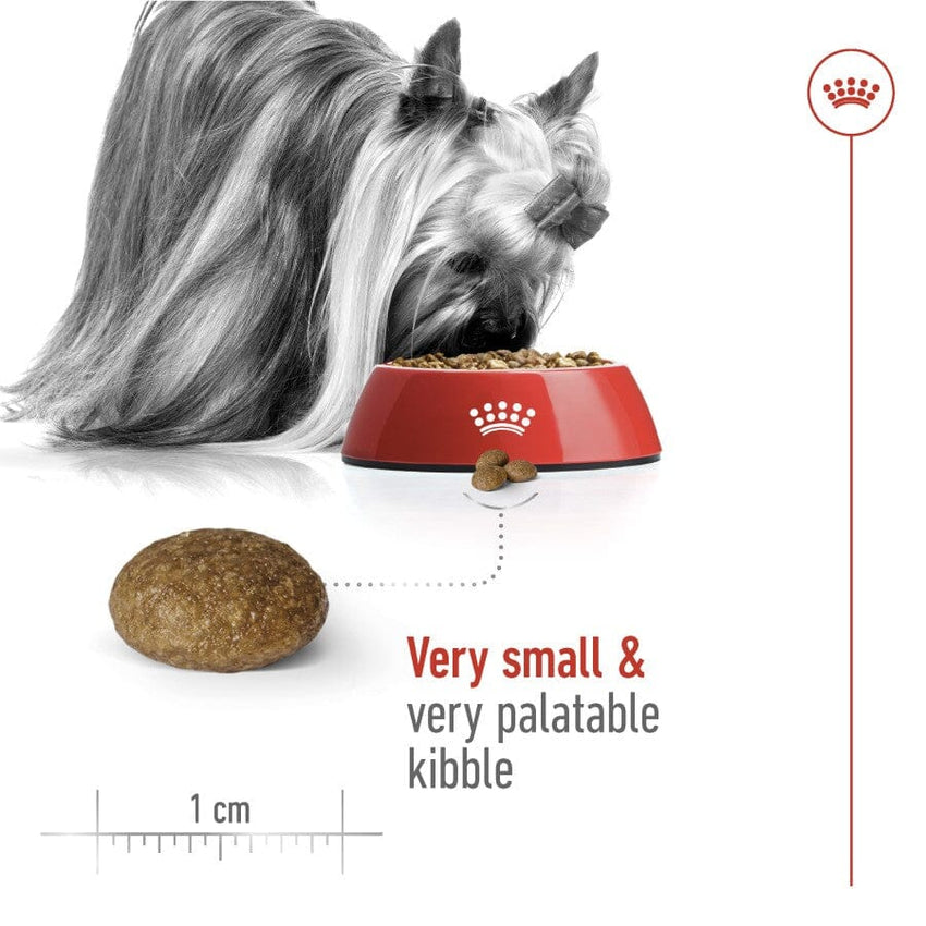 ROYALCANIN XSMALL Makanan Anjing Senior 8+ 1.5kg no type Tidak ada merek 