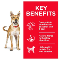 SCIENCEDIET Makanan Anjing Dog Food Adult Chicken 7.5kg Dog Food Dry Science Diet Dog 