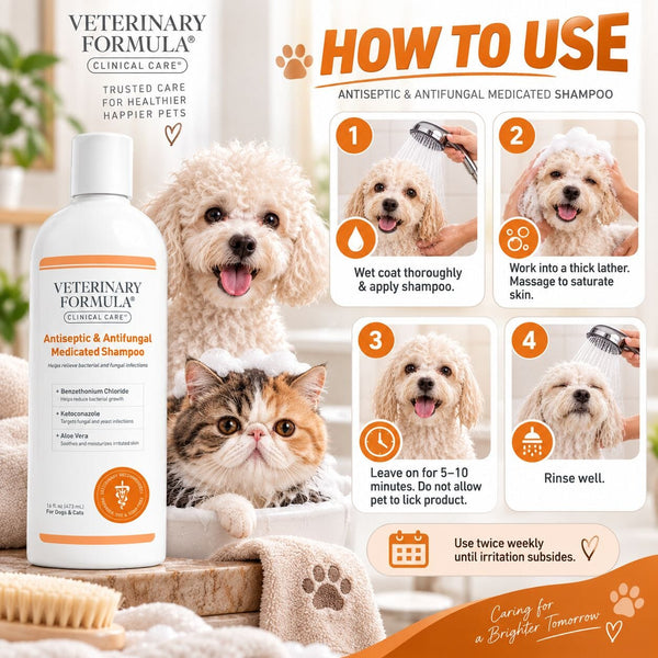 SYNERGYLABS Shampoo Jamur Anjing VFCC Antiseptic Antifungal 16oz Grooming Medicated Care NoBrand 