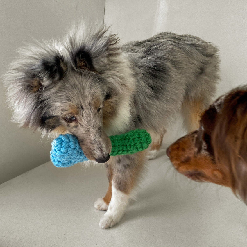 TAILSINSLUMBERLAND Mainan Anjing Bone Blue Dog Toy Tails in Slumberland 