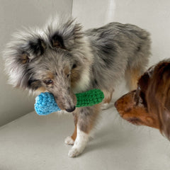 TAILSINSLUMBERLAND Mainan Anjing Bone Blue Dog Toy Tails in Slumberland 