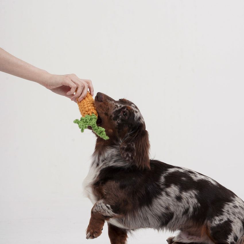TAILSINSLUMBERLAND Mainan Anjing Carrot Dog Toy Tails in Slumberland 