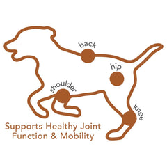 VETSBEST Vitamin Anjing Hip and Joint Advance Support 30Chews Pet Vitamin & Supplement Tidak ada merek 