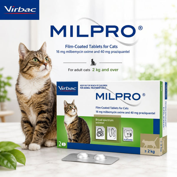 VIRBAC Milpro For Adult Cats 2kg Up 1pcs no type Tidak ada merek 