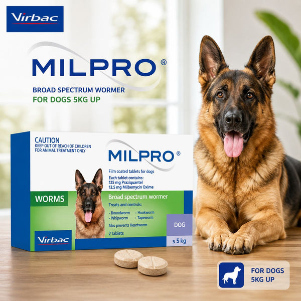 VIRBAC Milpro For Dog 5kg Up 1pcs no type Tidak ada merek 
