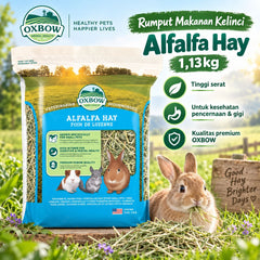 OXBOW Rumput Makanan Kelinci Alfalfa Hay 1,13kg