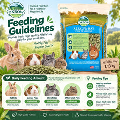 OXBOW Rumput Makanan Kelinci Alfalfa Hay 1,13kg