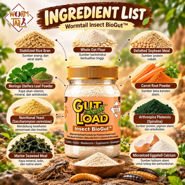 WORMTAIL Makanan Insect Gutload 150gr Reptile Food NoBrand 