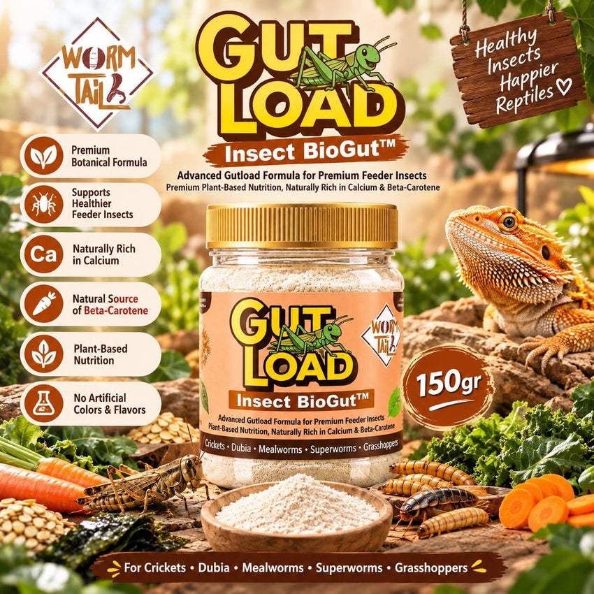 WORMTAIL Makanan Insect Gutload 150gr Reptile Food NoBrand 