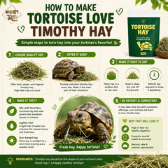 WORMTAIL Makanan Kura Darat Rumput Tortoise Hay 100gr no type Tidak ada merek 