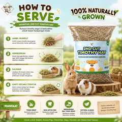 WORMTAIL Rumput Kering Premium 2nd Cut Timothy Hay 500gr no type Tidak ada merek 