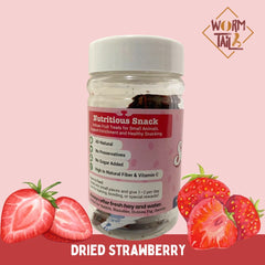 WORMTAIL Snack Kelinci Hamster Dried Strawberry 15gr Small Animal Snack Wormtail 