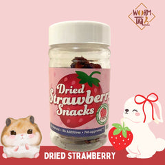 WORMTAIL Snack Kelinci Hamster Dried Strawberry 15gr Small Animal Snack Wormtail 