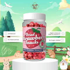 WORMTAIL Snack Kelinci Hamster Dried Strawberry 15gr Small Animal Snack Wormtail 