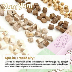 YUMYUM Snack Anjing Kucing Freeze Dried Beef 50g Dog Snack Pet Republic Indonesia 
