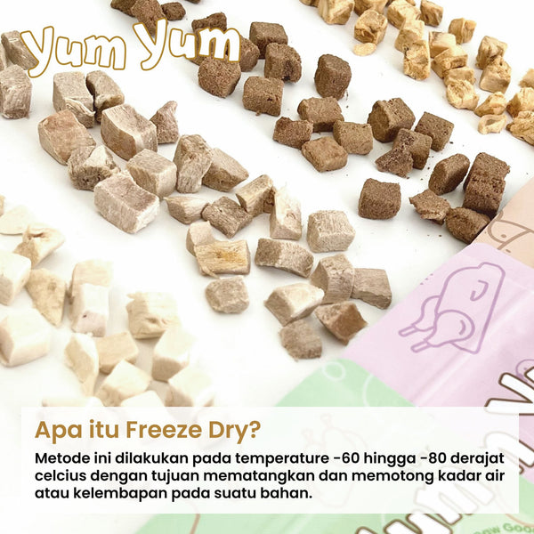 YUMYUM Snack Anjing Kucing Freeze Dried Salmon 50g Dog Snack Yum Yum 