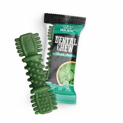 ABSOLUTE Holistic Dental Chew 1pcs Dog Dental Chew Absolute Mint 
