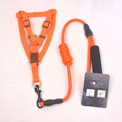 BEJIARY CP13 Rope And Harness Small Pet Collar and Leash Bejiary Orange 