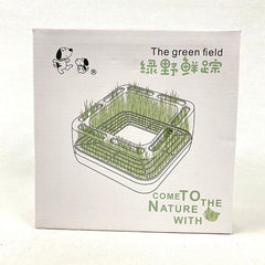 BOBO Pet Bowl With Wheat Grass Pot Pet Bowl Bobo 