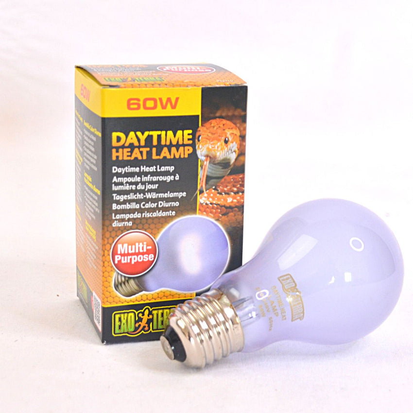 EXOTERRA A19 Daytime Heat Lamp Reptile Heating & Lighting Exoterra 60W 