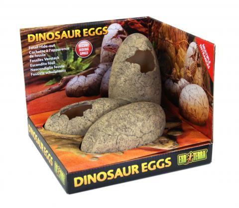 EXOTERRA Fossil Hide Out Dinosaur Eggs Reptile Habitat Accesories Exoterra 