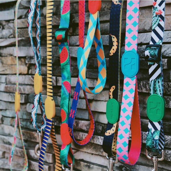 HIDREAM Dog Leash Profusion Series Banana Pet Collar and Leash HIDREAM 