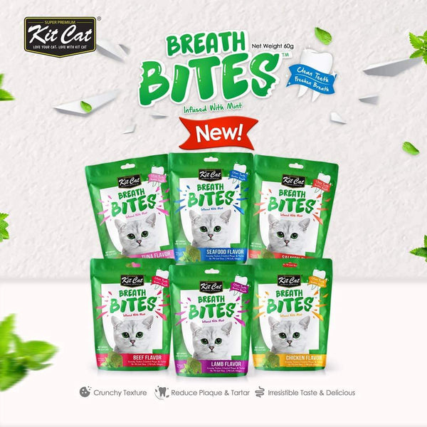 KITCAT Breath Bites Dental Snack 60gr Pet Republic Jakarta 