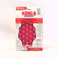 Kong ZG1 Zoom Groom Raspberry Grooming Tools Kong 