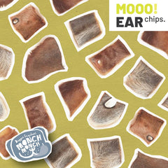 MONCHMONCH Mooo Ear Chips 40g Dog Snack Monch Monch 