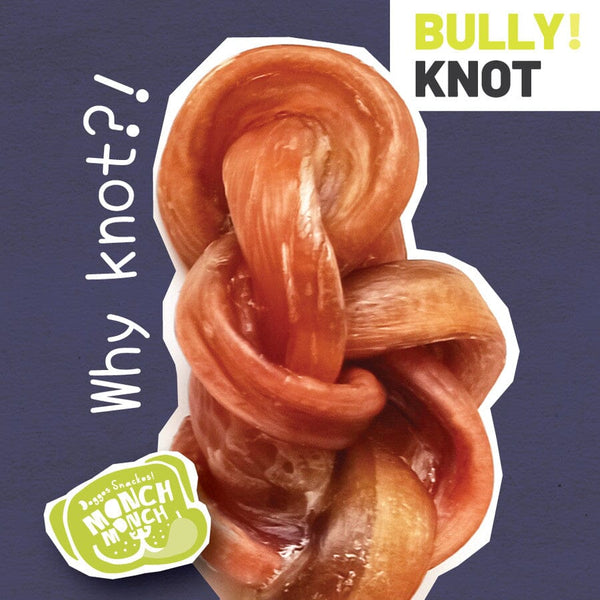 MONCHMONCH Snack Anjing Bully Knot Whole Dog Snack Pet Republic Indonesia 