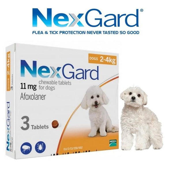 NEXGARD Flea and Tick Chewable Tablets 2-4kg 1pcs Pet Vitamin and Supplement Zoetis 
