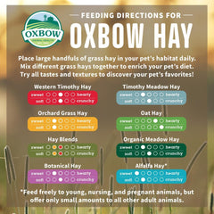 OXBOW Oat Hay 400gr Small Animal Food Oxbow 
