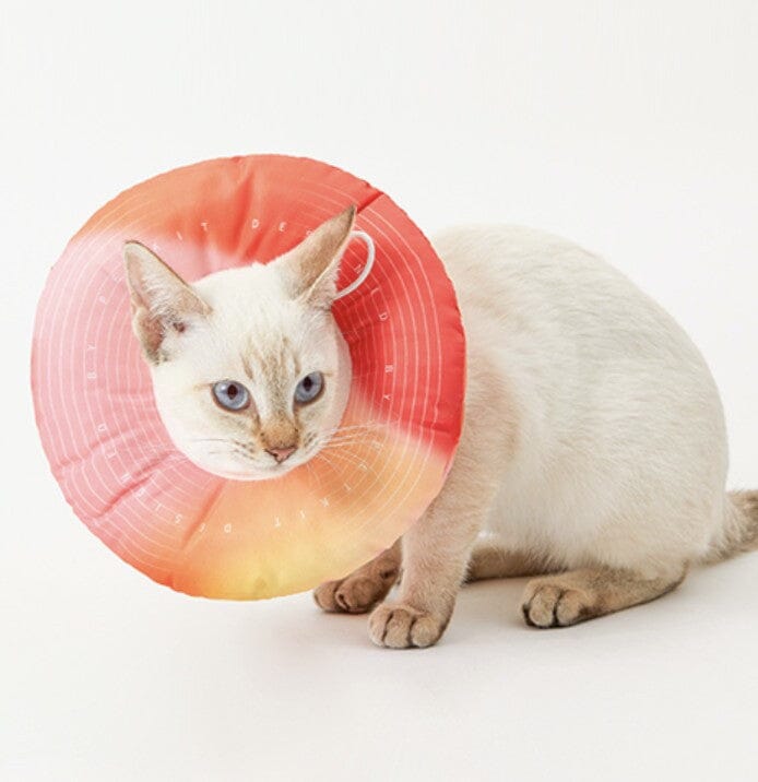 PETKIT Kalung Kucing Collar Magic Orange Pet Collar and Leash Petkit 