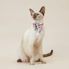 PETKIT Pet Collar Bow Tie Collar Pet Collar and Leash PETKIT 