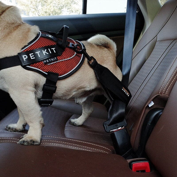 PETKIT Tali Anjing Pengaman Car Seatbelt Black Pet Collar and Leash Petkit 