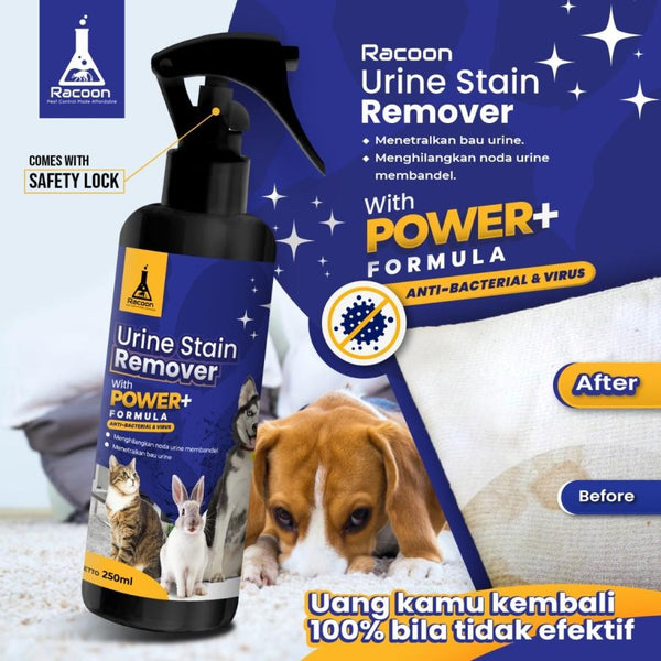 RACOON Urine Stain Remover 250ml Grooming Medicated Care Racoon Official 
